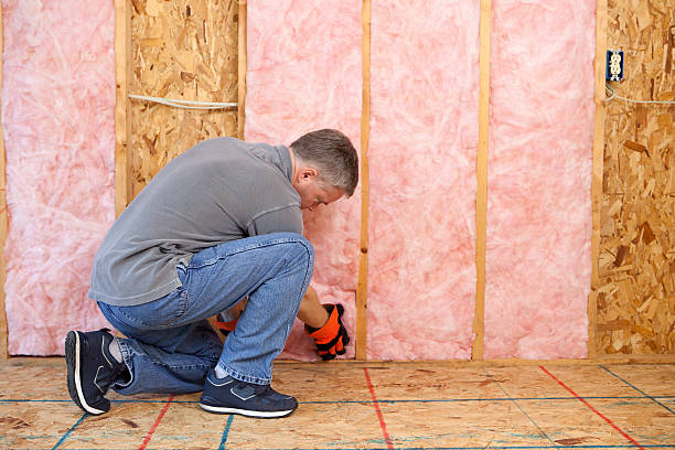 Best Insulation Removal  in Benwood, WV